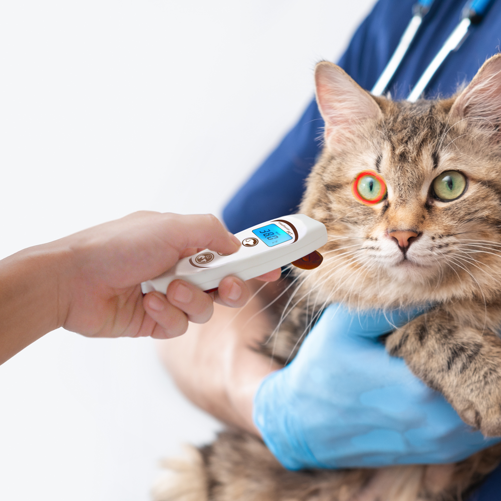 TECNIMED Visiofocus PET per animali